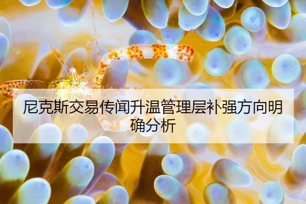 尼克斯交易传闻升温管理层补强方向明确分析